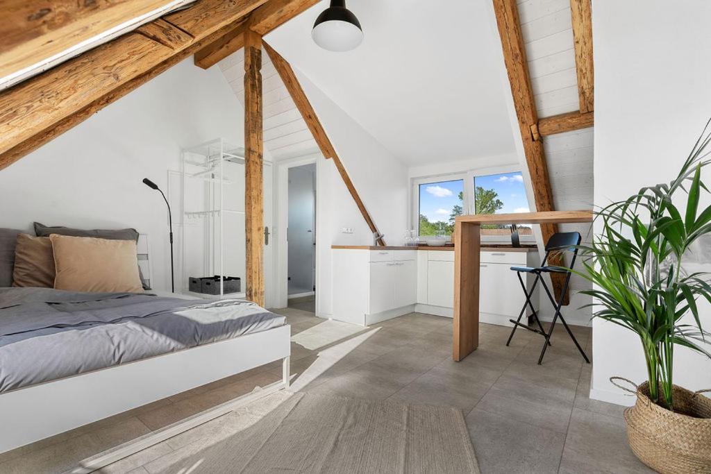 Second Home - Ferienwohnungen Fischbach FDH Kültér fotó